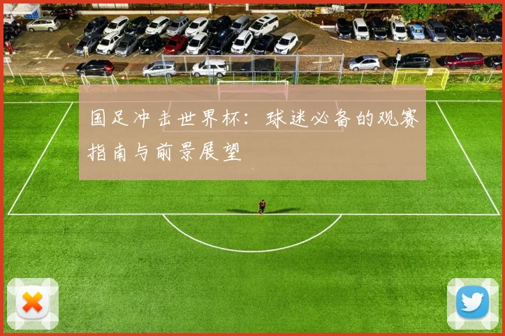 国足冲击世界杯：球迷必备的观赛指南与前景展望