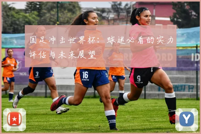 国足冲击世界杯：球迷必看的实力评估与未来展望