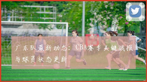 广东队最新动态：CBA赛季关键战报与球员状态更新