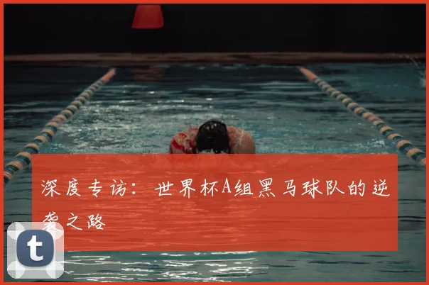 深度专访：世界杯A组黑马球队的逆袭之路