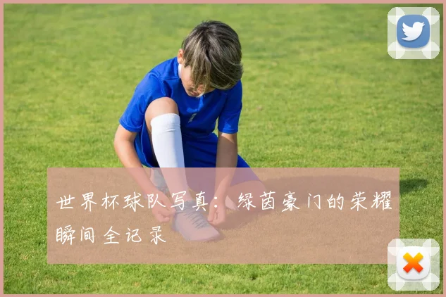 世界杯球队写真：绿茵豪门的荣耀瞬间全记录