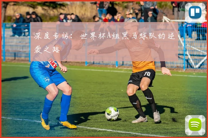 深度专访：世界杯A组黑马球队的逆袭之路