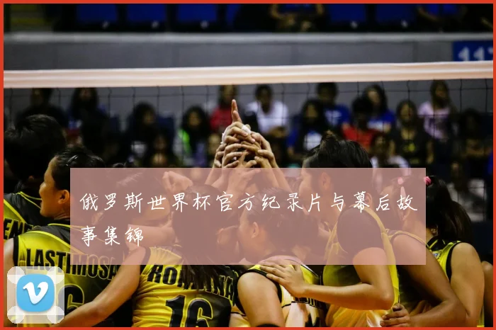 俄罗斯世界杯官方纪录片与幕后故事集锦